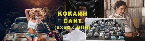 стафф Вяземский