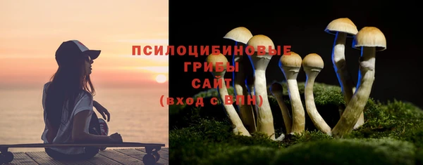 стафф Вяземский