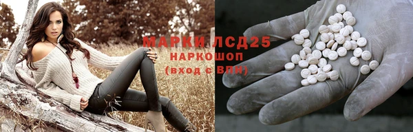 ешки Вязьма