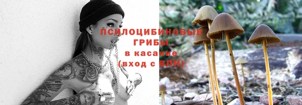 стафф Вяземский