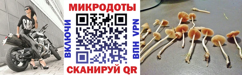 купить закладку  Иннополис  MEGA рабочий сайт  Галлюциногенные грибы ЛСД 
